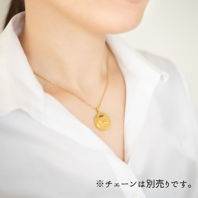 ネックレストップ シルバー925 K18イエローゴールドコーティング(JL