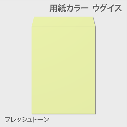フレッシュK 封筒色 ウグイス