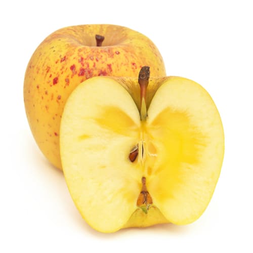 はるか　りんご　奈良岡さん