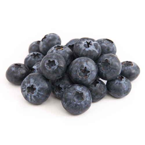 ブルーベリー　天野さん110g　ユーリカ