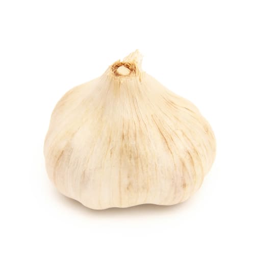 にんにく　奄美ユタカ　島にんにく