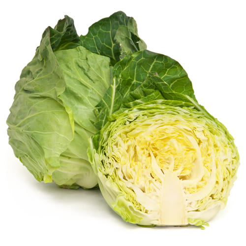 春キャベツ