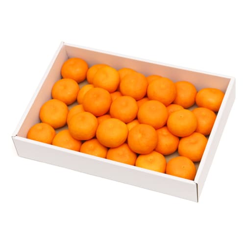 ハウスみかん贈答箱2kg