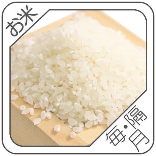 お米定期便　コシヒカリ　白米