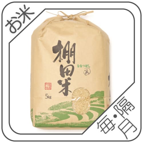 お米定期便　ななつぼし玄米