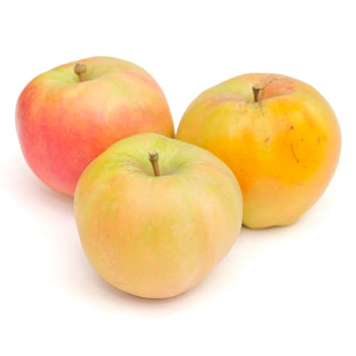 ムーンルージュ