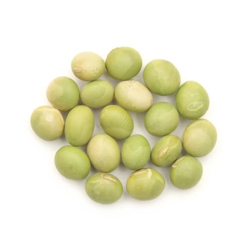 青大豆　吉川在来