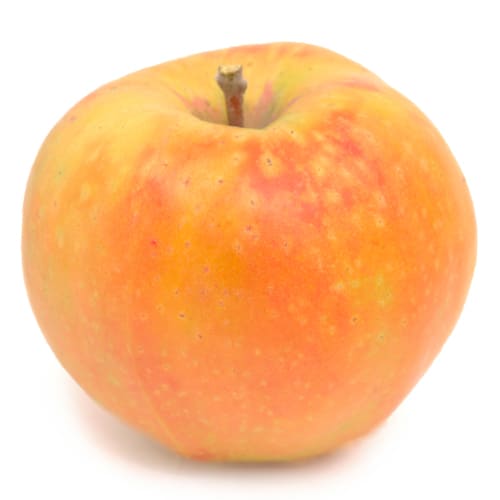 ムーンルージュりんご