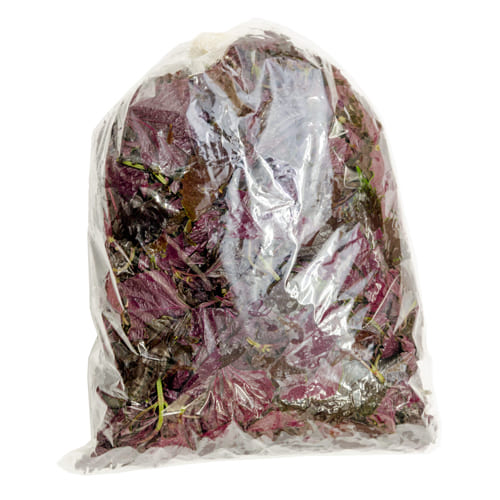 和歌山県産 生産者限定 南高梅 1kg