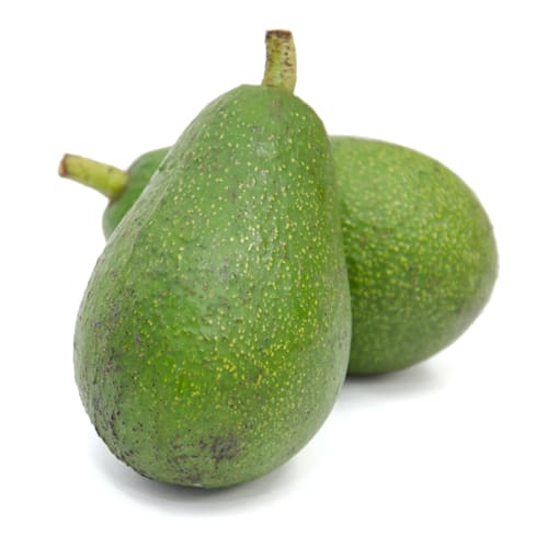 アボカドフエルテ種