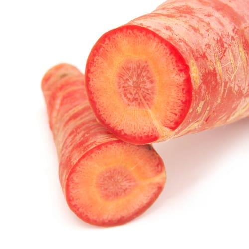 エチエさんの金時人参　断面イメージ