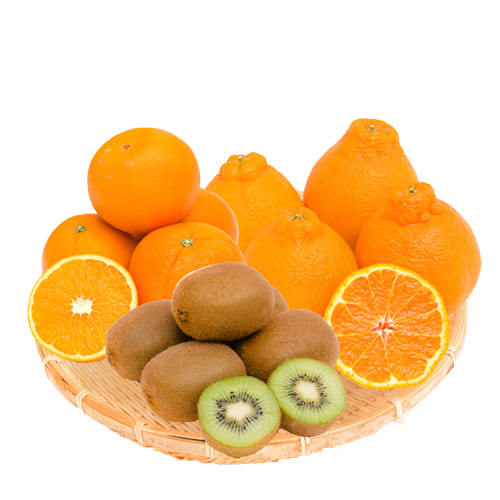 フルーツギフトミディアム　01-03