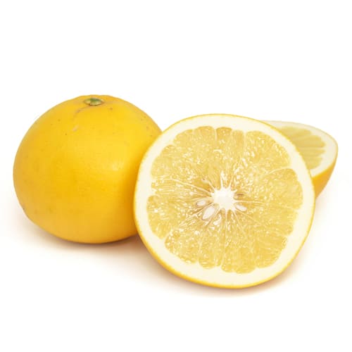 グレープフルーツ渥美さん250306