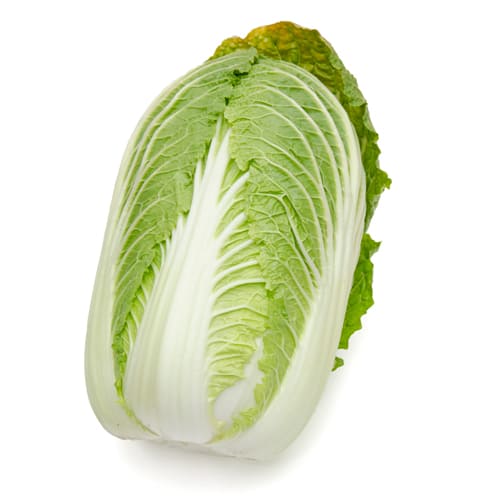 白菜