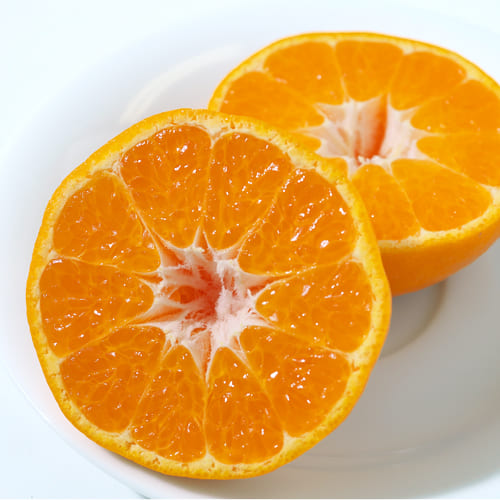 はるみのカット