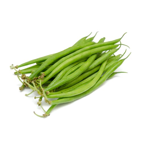 インゲン細いタイプ