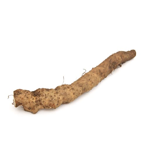 自然薯　塩島さん2025