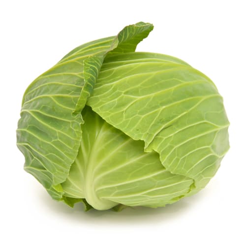 寒玉キャベツ　2025愛知