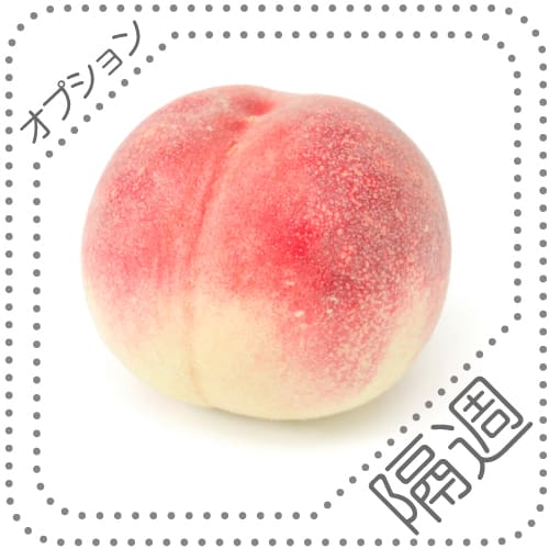 オプションくだものｓ０７－０８隔週