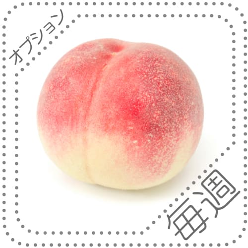 オプションくだものS毎週0708