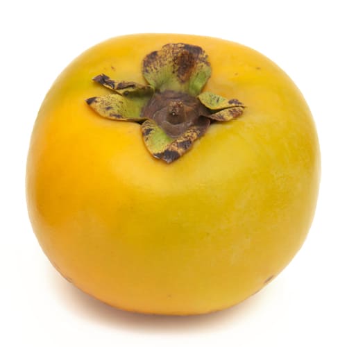 太秋柿
