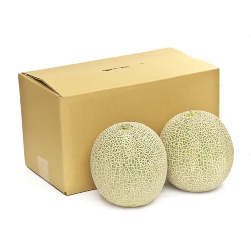 メロン茶箱2玉
