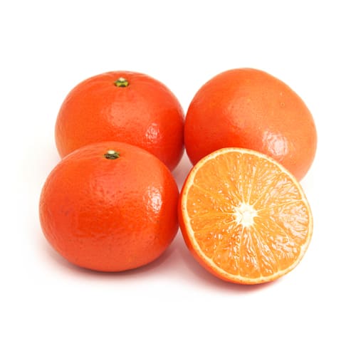 みはや　熊本　堀田さん　500ｇ