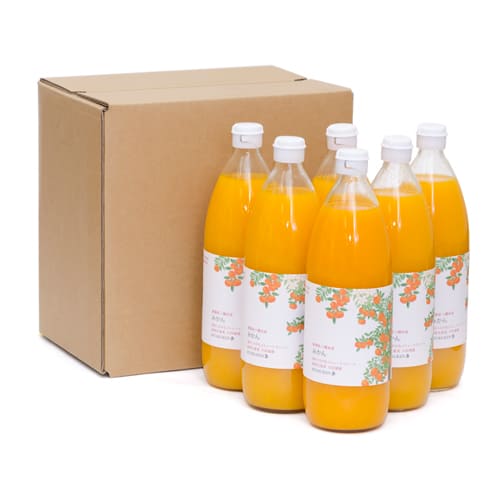 みかんジュース6本