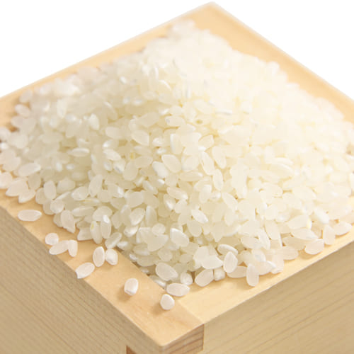 山本さんの　米　コシヒカリ　白米