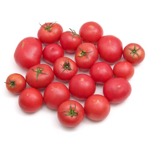 能津さんのトマトB品　1ｋｇ