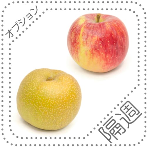 オプションくだもの8－9隔週