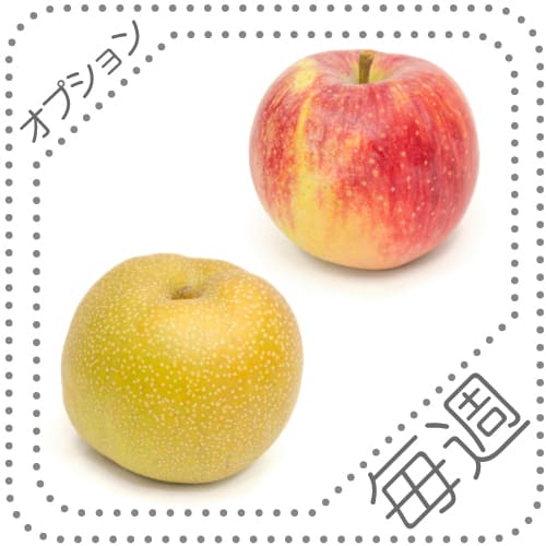 オプションくだもの8-9毎週