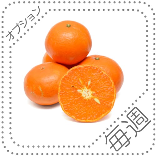 オプションくだものｓ01毎週