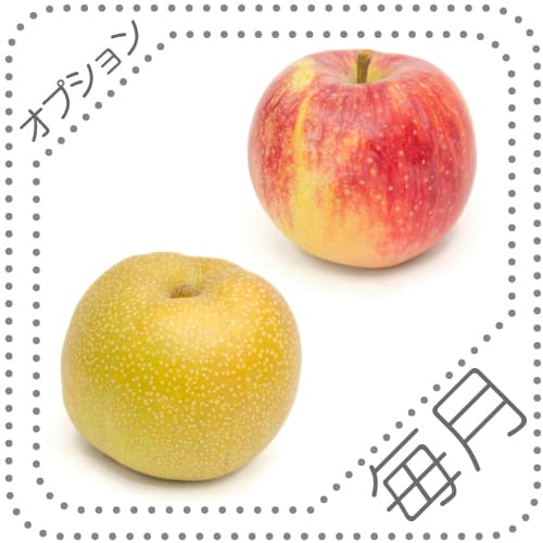 オプションくだもの8-9　毎月