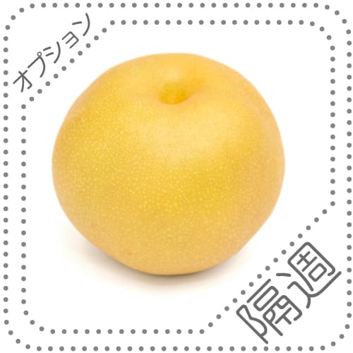 オプションくだものs隔週