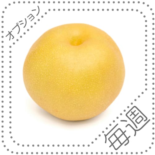 オプションくだものS毎週