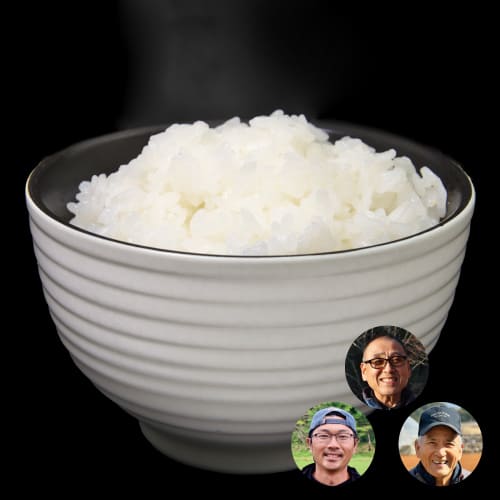 おためしおこめ3種セット