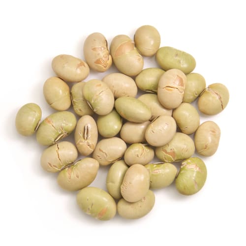 ふくまめ　音更大袖振