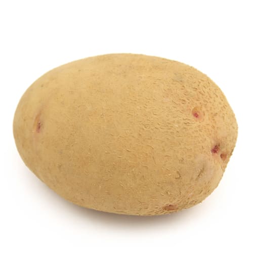 じゃがいも　はるか　玉手さん