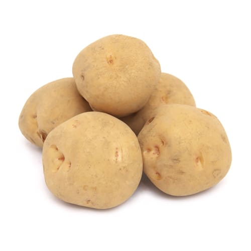 玉手さんのキタアカリ