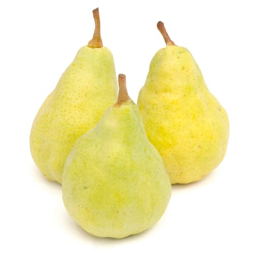 生産者限定 りんごセット 約1kg(2種以上)