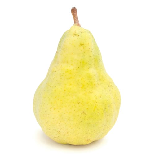 西洋梨ルレクティエ