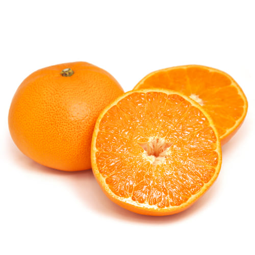 せとか　1玉　2025　森野さん