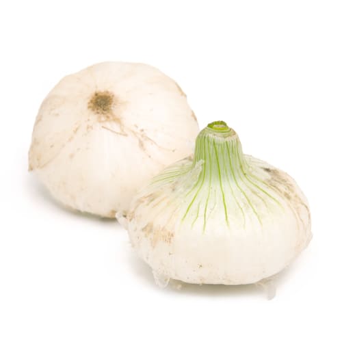 白玉ねぎ