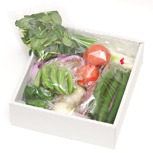旬の野菜くだものギフト