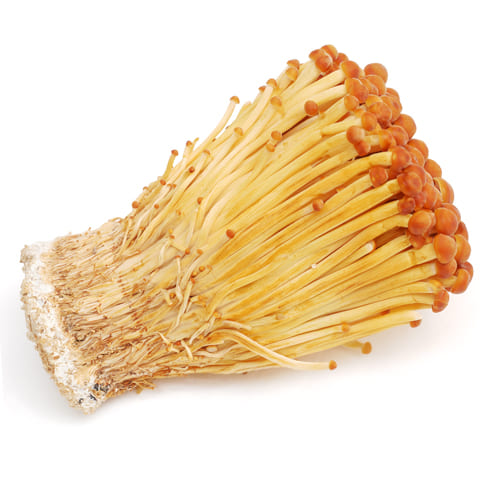 ぷりぷりでオルニチン含有 南魚沼産 ぶなしめじ 約180g