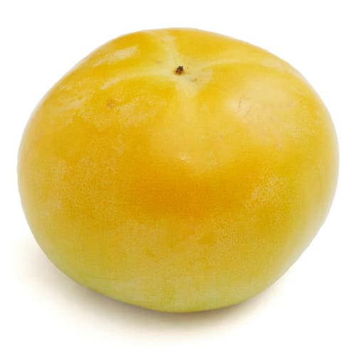 太秋柿