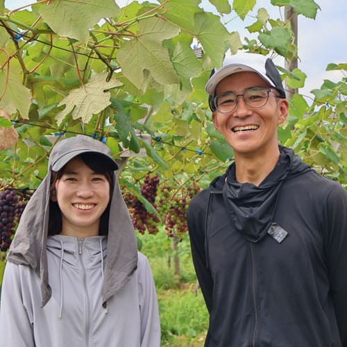 ぶどう　スチューベン　山田さん夫婦
