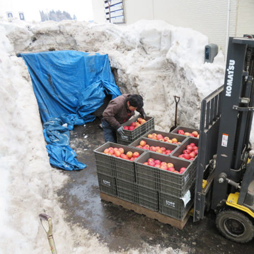 雪室フジ