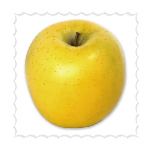 雪室シナノゴールド